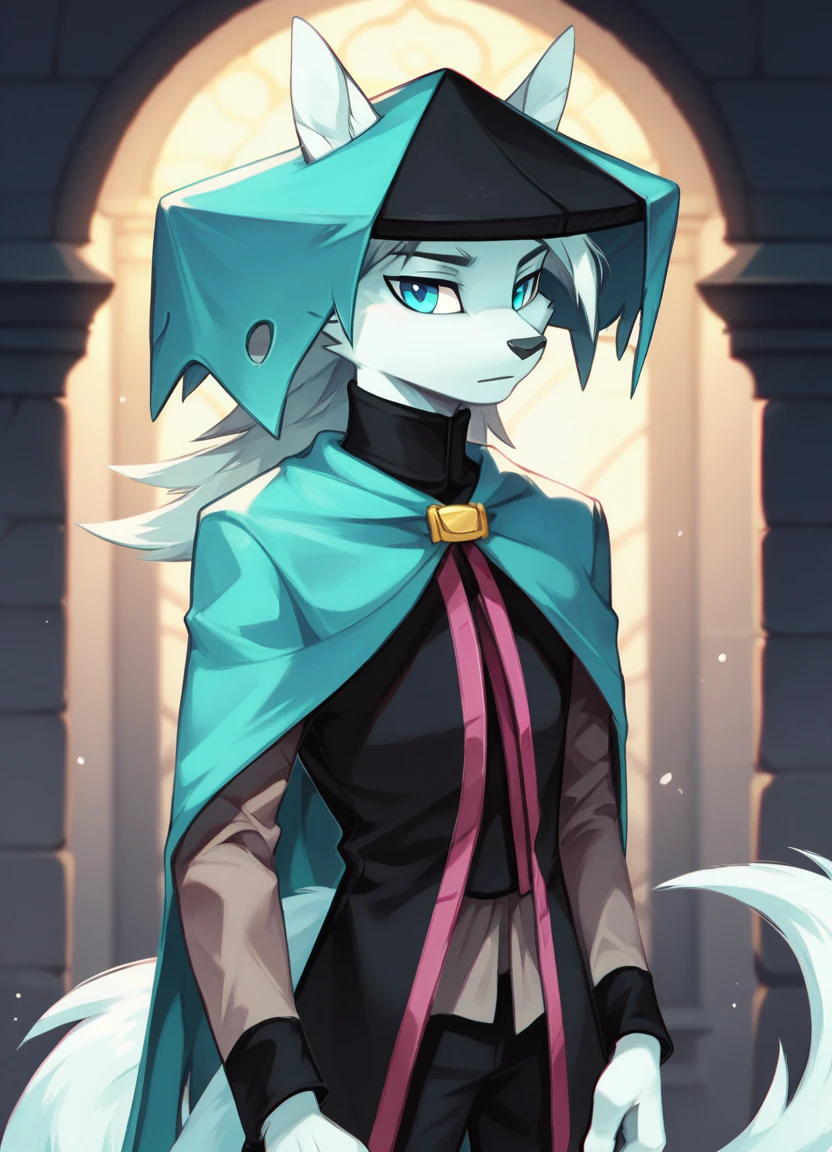 score_9, score_8_up, score_7_up, score_6_up, (du57aet, anthro, tail), ((male focus, 1boy, solo)), male, half-length portrait, blue eyes, hat, cape, vest, village background <lora:Dust_Elysian_Tail_for_Pony:0.9>