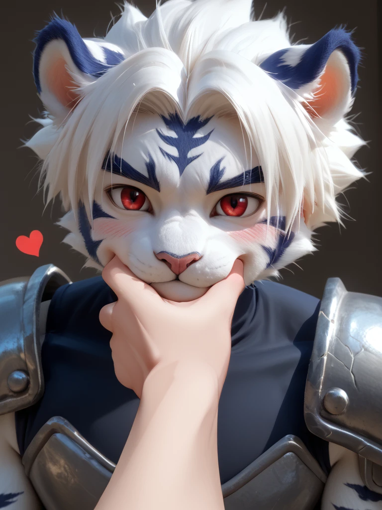 score_9, score_8_up, score_7_up, realism, anime, high quality, furry, male, cute, <lora:Kogenta PDXL v0.2:0.8> kogenta, white tiger, white body, onmyou taisenki, young, red eye, tight sleeveless black top wear, silver shoulder pad, <lora:sppovCheekGrabbingmemeXLPony:0.8> povcheekgrabbing, solo focus, hand on another's face, pov, blush, <3