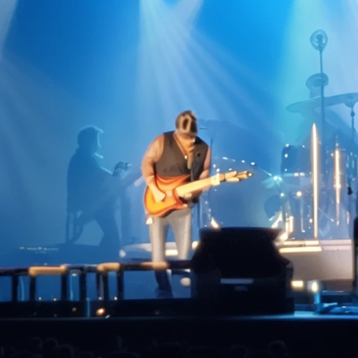 rock concert, far view, crowd, guitar solo, 1boy