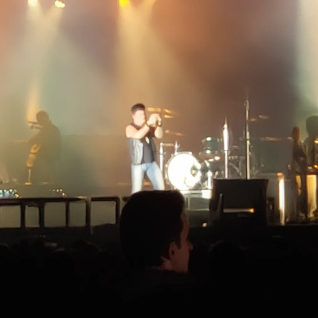 rock concert, lights, 1boy, music instruments, crowd