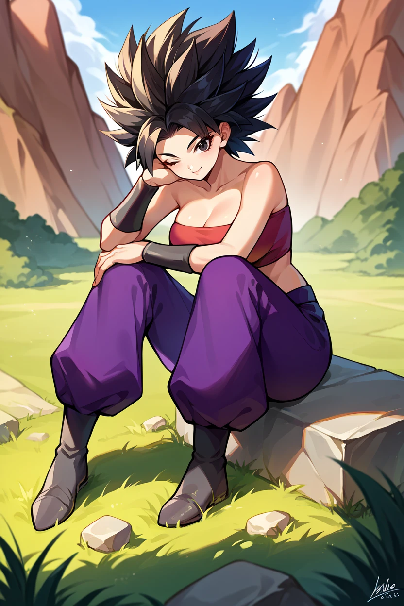 score_9, score_8_up, score_7_up, score_6_up, source_anime, 1girl, solo,  <lora:caulifla-pdxl-nvwls-v1-000007:1> defCal, black hair, black eyes, tube top, midriff, purple pants, bracers, black shoes, sitting on the ground, big breasts, wink, looking at you, knees up, holding own knees, field, mountains