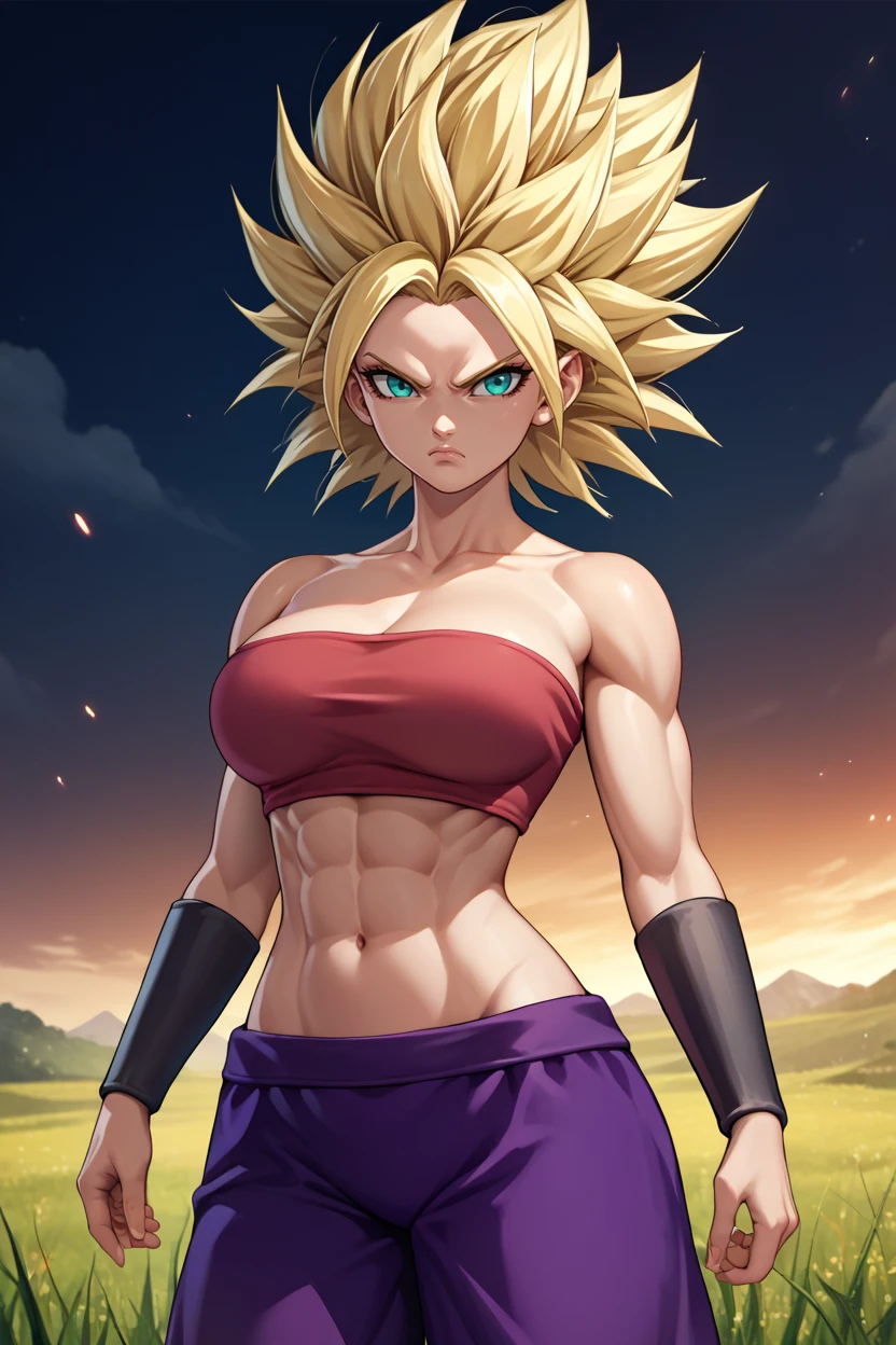 score_9, score_8_up, score_7_up, score_6_up, source_anime, 1girl, solo, <lora:caulifla-pdxl-nvwls-v1-000007:1> ssCal, blonde hair, aqua eyes, tube top, purple pants, bracers, toned, serious, looking at you, big breasts, dark sky, field