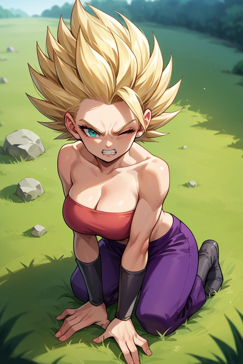 score_9, score_8_up, score_7_up, score_6_up, source_anime, 1girl, solo,  <lora:caulifla-pdxl-nvwls-v1-000007:1> s2Cal, blonde hair, aqua eyes, asymmetrical bangs, tube top, purple pants, bracers, from side, toned, big breasts, all fours, looking at you, clenched teeth, wince, from above, field