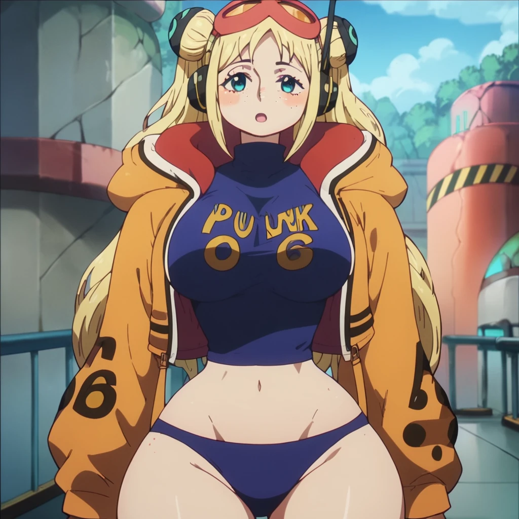 York Vegapunk (One Piece) v1.0