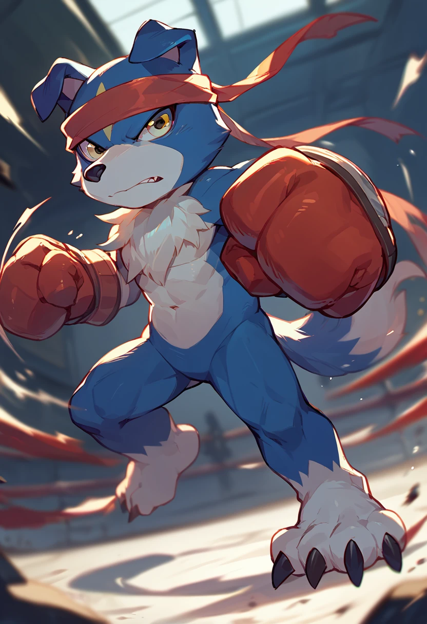 score_9, score_8_up, score_7_up, score_6_up, source_furry, solo, dof, full-length portrait, blurred background,  <lora:DIGIMON_GAOMON:1> gaomon, yellow eyes, headband, gloves, digimon (creature), motion blur, action pose, martial arts, punching, dynamic view, cinematic, nude,