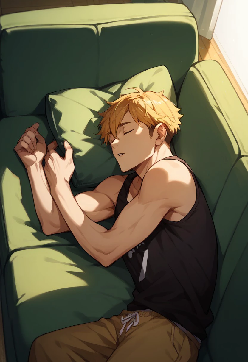 score_9, score_8_up, score_7_up, source_anime, rating_safe, hands with five fingers, Atsaikyu, 1boy, male focus, black tank top, parted lips, lying, on side, couch, indoor living room, sleeping, hair strands,