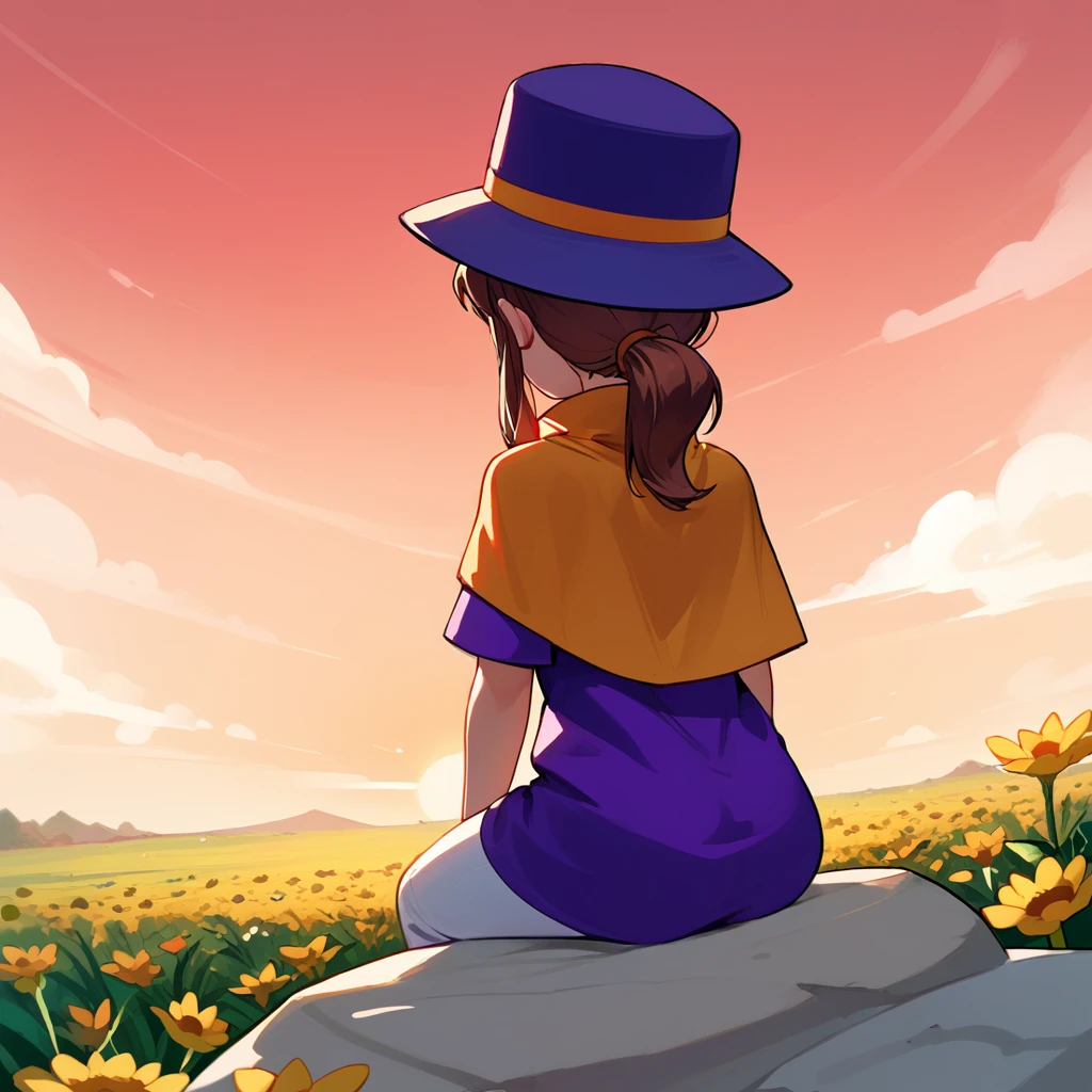 <lora:hatkid:1>,1girl,solo,hat-kid,brown hair,sidelocks,ponytail,purple top hot,purple dress,yellow cape,white pants,
facing away,from behind,flower field,sitting on rock,arm support,sunset,cloudy sky,red sky,, score_9, score_8_up, score_7_up, perfect anatomy, source_anime, zPDXL2,