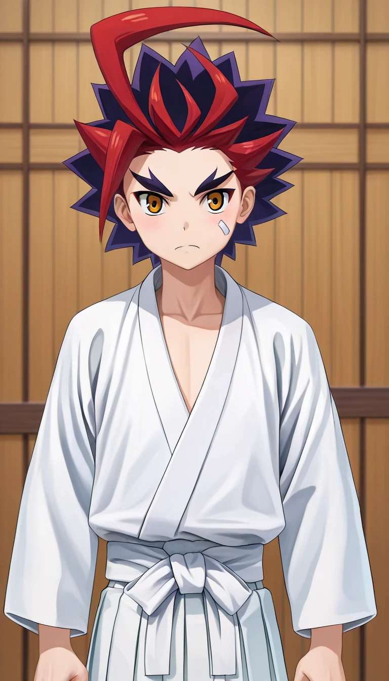 Future Card Buddyfight(フューチャーカード バディファイト) | Gao Mikado (未門 牙王)