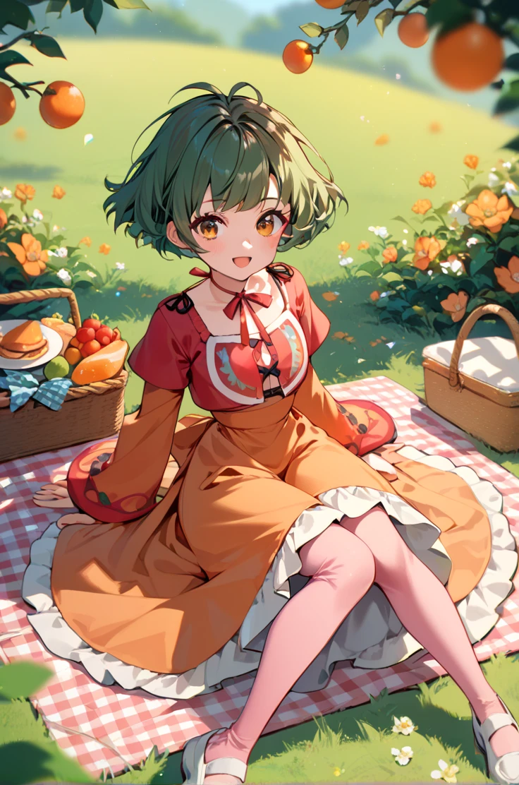 score_9, score_8_up, score_7_up, source_anime,
simple background, blurry background,
cowboy shot, picnic, sitting, 
looking at viewer, open smile,  blush, 
<lora:farah_autismConfetti_v02:1>white footwear, white shoes, pink legwear, farahBase, green hair, short hair, brown hair, long dress, orange dress, multi colored dress, orange long sleeves, (wide sleeves:0.6), neck ribbon, waist ribbon, red camisole, short bangs,, zPDXL