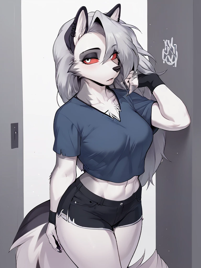 1girl, sfw, safe for work, shorts, shirt, looking at viewer, standing, score_9, score_8_up, score_7_up, score_6_up, 8k,
furry anthro loona wolf,
<lora:Cervina7_Cervina_Artist_Style_PonyXL:1>