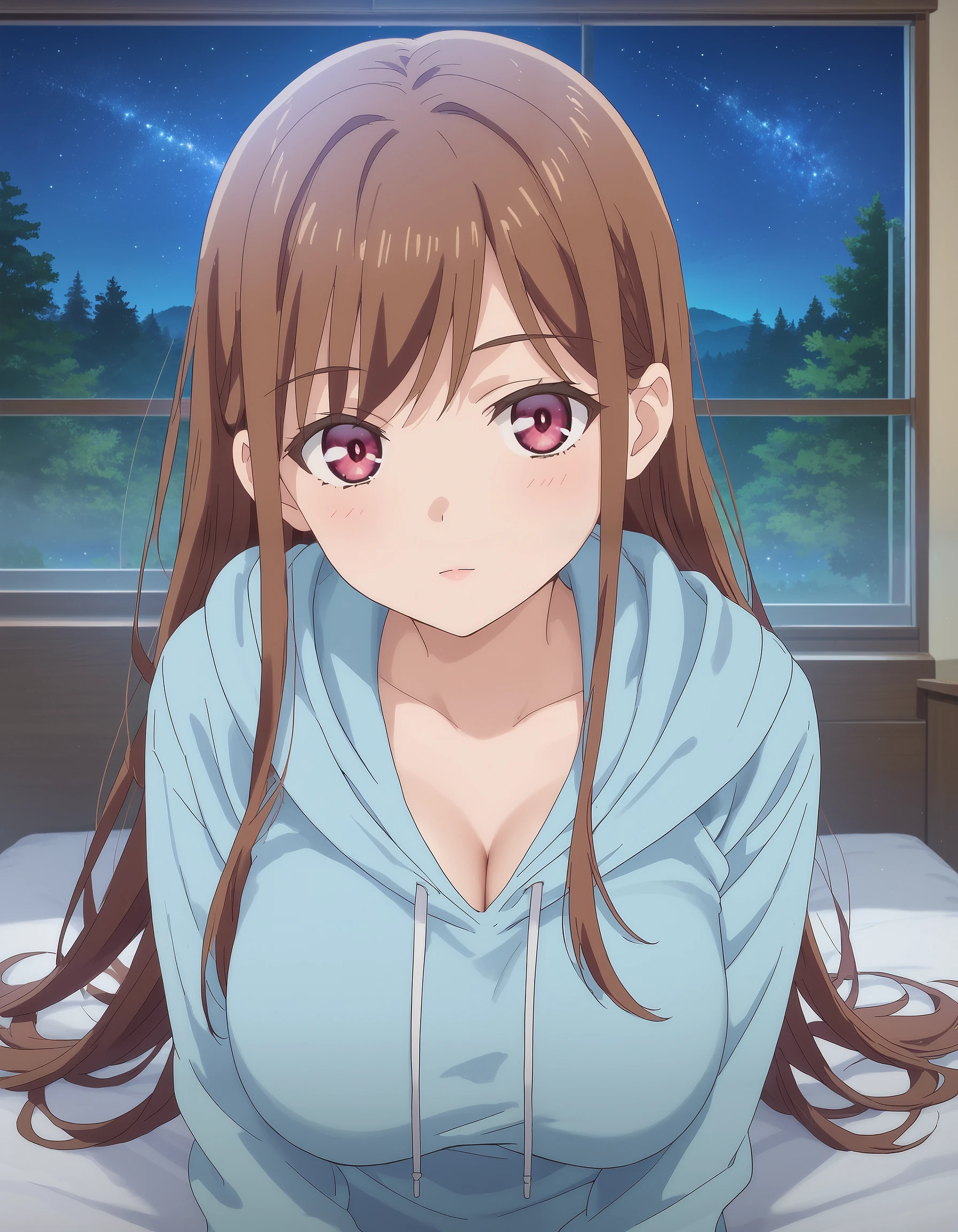 score_9, score_8_up, score_7_up, masterpiece, absurdres, source_anime, perfect anatomy,

1girl, solo,

AyaneShirakawa, long hair, brown hair, bangs, pink eyes, big breast,
blue hoodie, long hoodie, indoors, on bed,

outdoors, forest, night, starry sky, looking at viewer, cowboy shot,