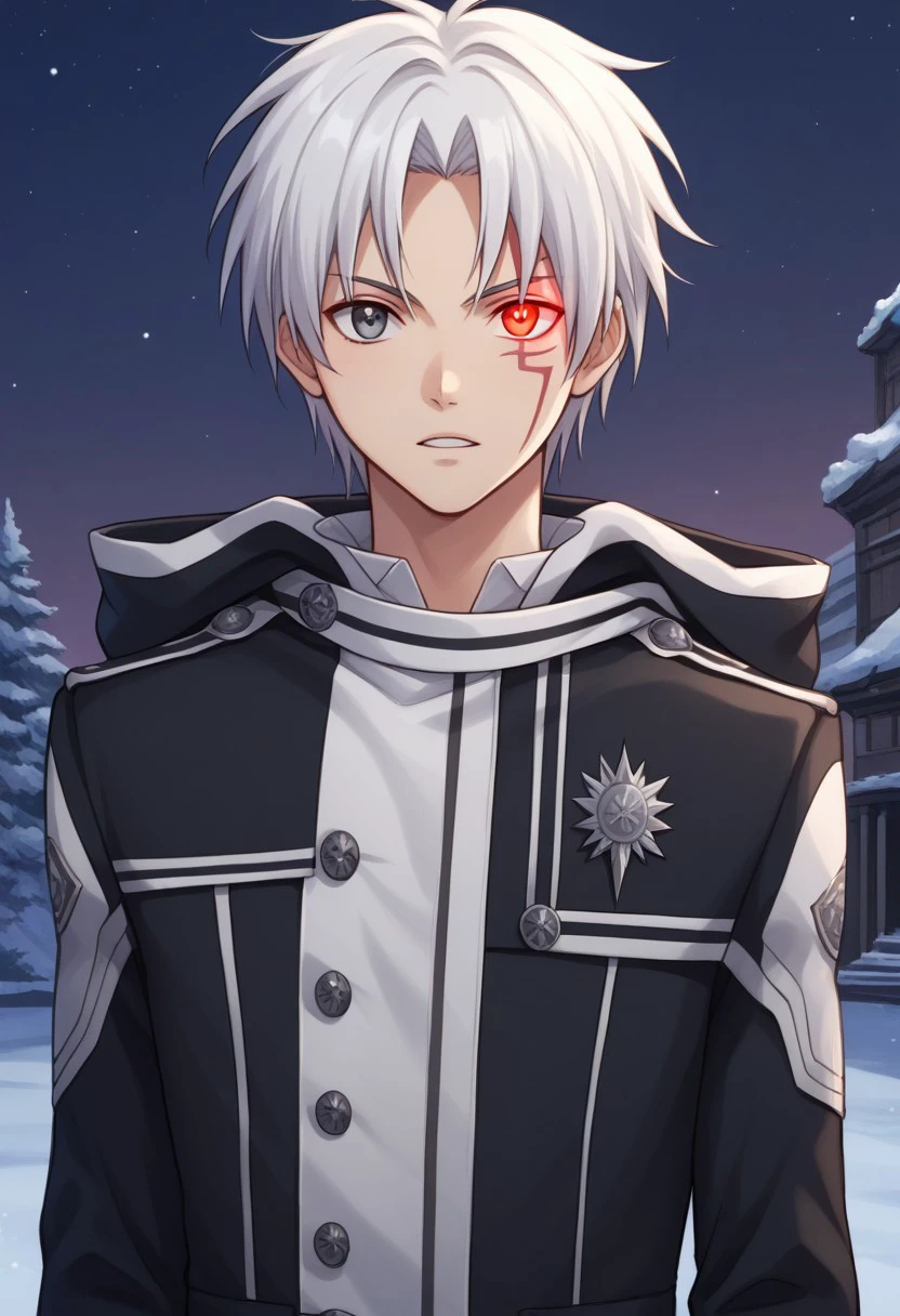 score_9, score_8_up, score_7_up, source_anime, highly detailed, 
allenwalker, solo, 1boy, male focus, looking at viewer, grey eyes, white hair, coat, long sleeves, facial mark, exorcist uniform, hood, gloves, white gloves, upper body, slender, skinny
outdoor, night, sky, single red eye, glowing eye, teeth, serious,