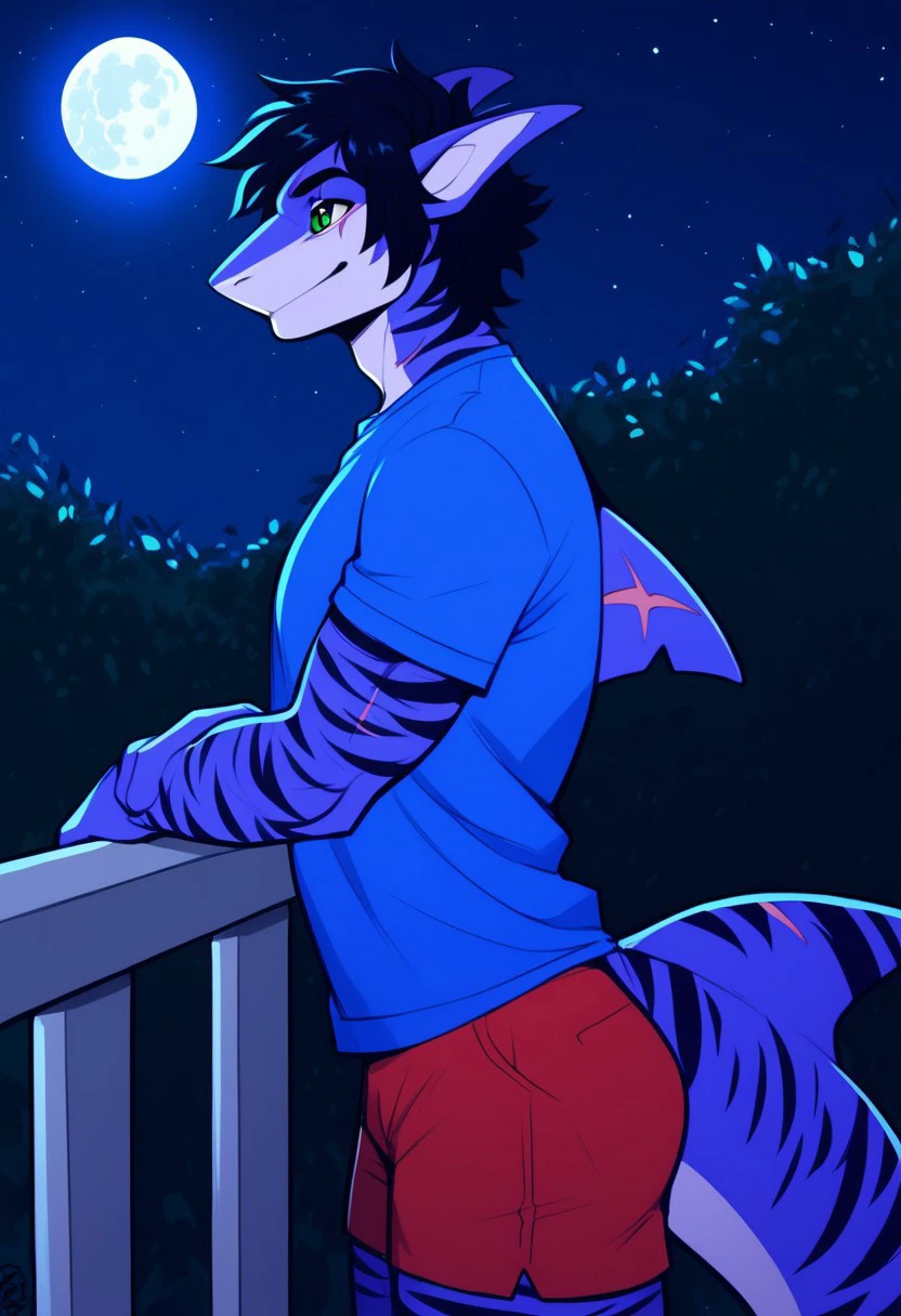 score_9, score_8_up, score_7_up, score_6_up, score_5_up, score_4_up,High resolution,High quality,1boy,solo, anthro shark, tiger shark,dark blue skin, stripes on the body, short hair,lush hair,black hair, green eyes, shark tail, scar on the fin, BREAK, blue T-shirt, red shorts, standing on the balcony, side view, looking at the sky, night sky, full moon, night city background