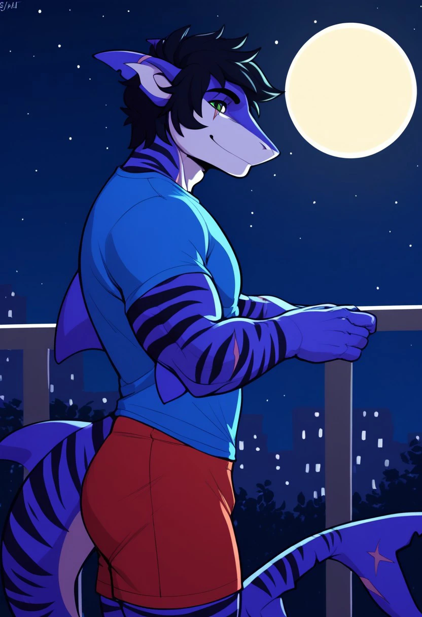 score_9, score_8_up, score_7_up, score_6_up, score_5_up, score_4_up,High resolution,High quality,1boy,solo, anthro shark, tiger shark,dark blue skin, stripes on the body, short hair,lush hair,black hair, green eyes, shark tail, scar on the fin, BREAK, blue T-shirt, red shorts, standing on the balcony, side view, looking at the sky, night sky, full moon, night city background