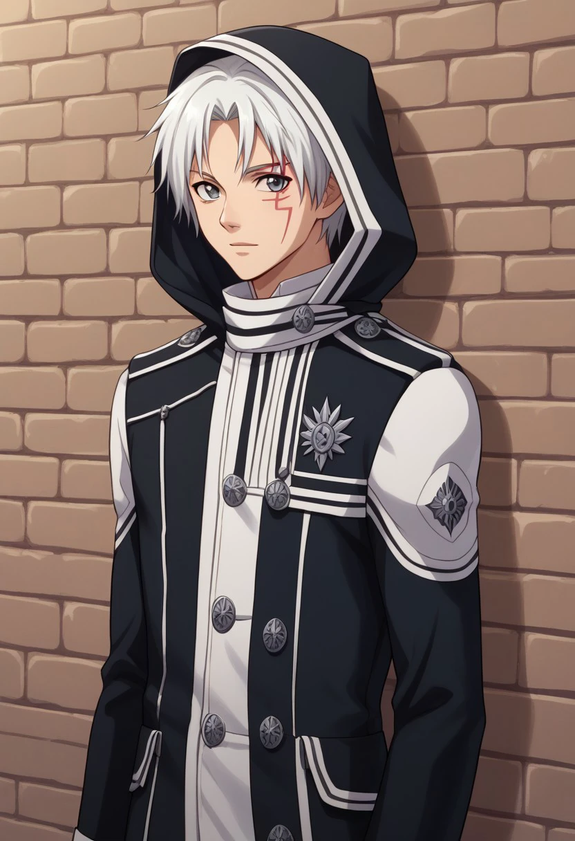 score_9, score_8_up, score_7_up, source_anime, highly detailed, 
allenwalker, solo, 1boy, male focus, looking at viewer, grey eyes, white hair, coat, long sleeves, facial mark, exorcist uniform, hood, gloves, white gloves, upper body, slender, skinny
indoor, wall, bricks, grey bricks,