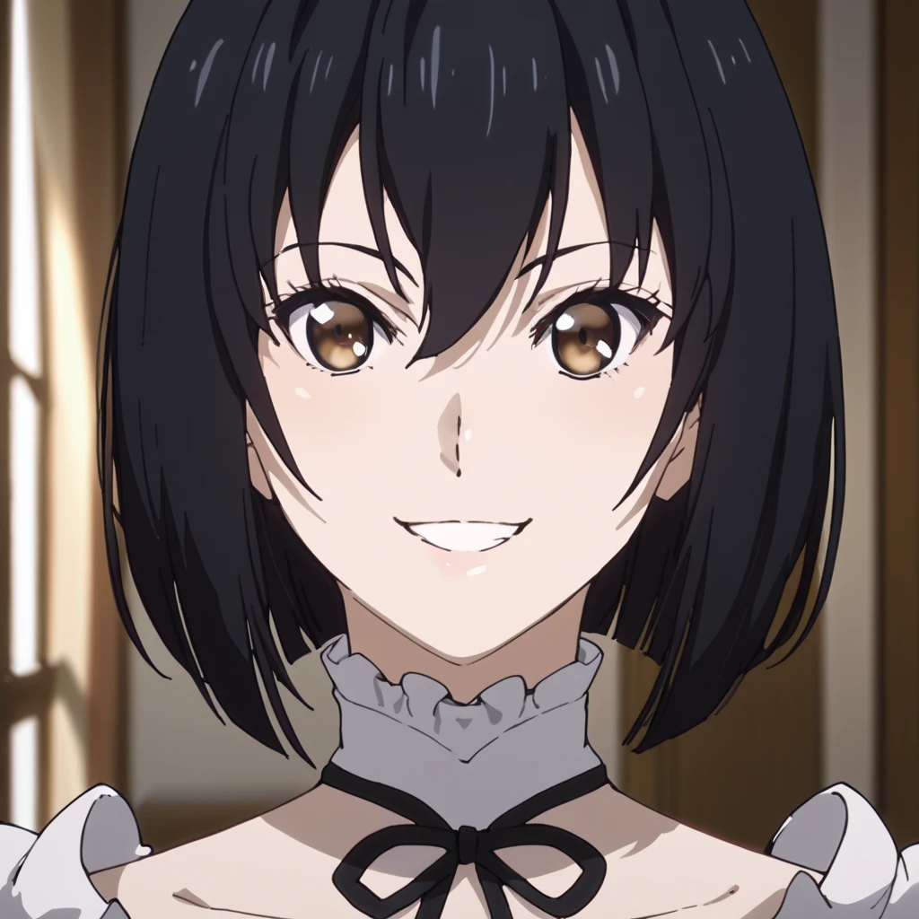 score_9, score_8_up, score_7_up, score_6_up, score_5_up, score_4_up, source_anime,  Ferna, black hair, maid, brown eyes, , smile, portrait