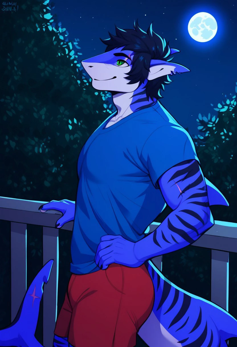 score_9, score_8_up, score_7_up, score_6_up, score_5_up, score_4_up,High resolution,High quality,1boy,solo, anthro shark, tiger shark,dark blue skin, stripes on the body, short hair,lush hair,black hair, green eyes, shark tail, scar on the fin, BREAK, blue T-shirt, red shorts, standing on the balcony, side view, looking at the sky, night sky, full moon, night city background