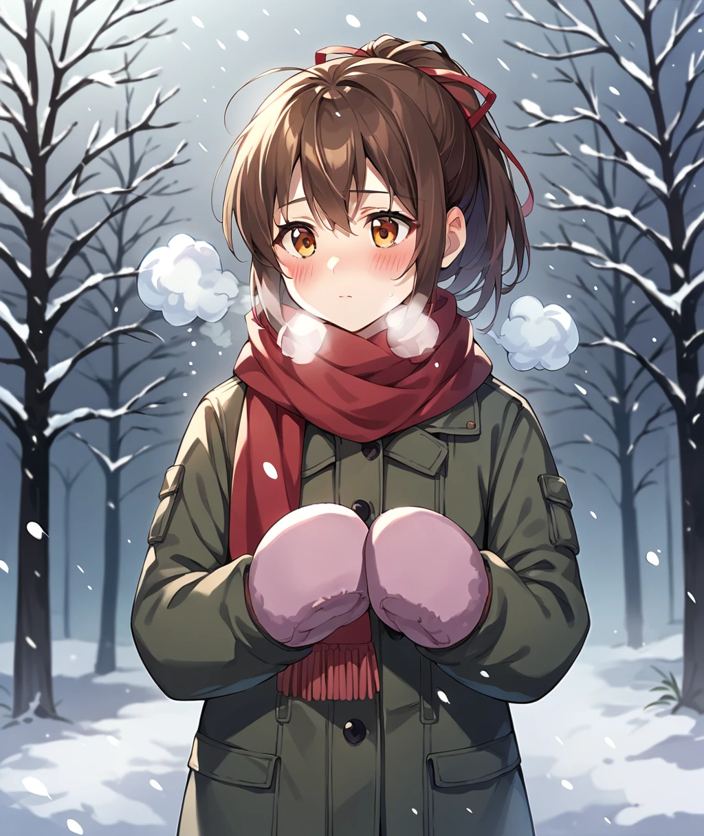 score_9, score_8_up, score_7_up, source_anime, BREAK, 1girl, solo, 2d, Katia, Winter clothes, mittens, snowing, outside, dark, red scarf, blush, breath