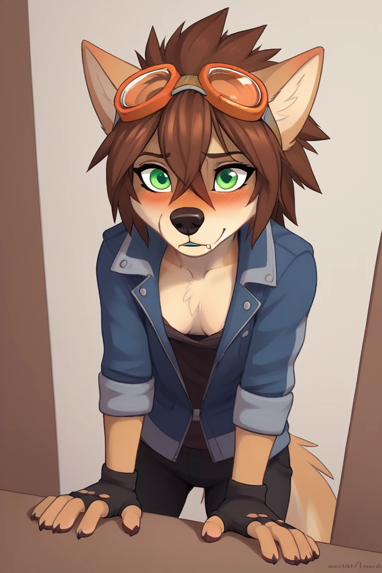 score_9, source_furry,
<lora:Wendy_Wolfy-Nail:0.8>  w3ndywn, 1girl, female wolf, hair between eyes, blue jacket outfit, spiked hair, green eyes, orange (goggles), animal ears, wolf ears, fingerless gloves, brown hair, blush, black nose, long snout,
skinny, flat chest,
dynamic angle,
downblouse,