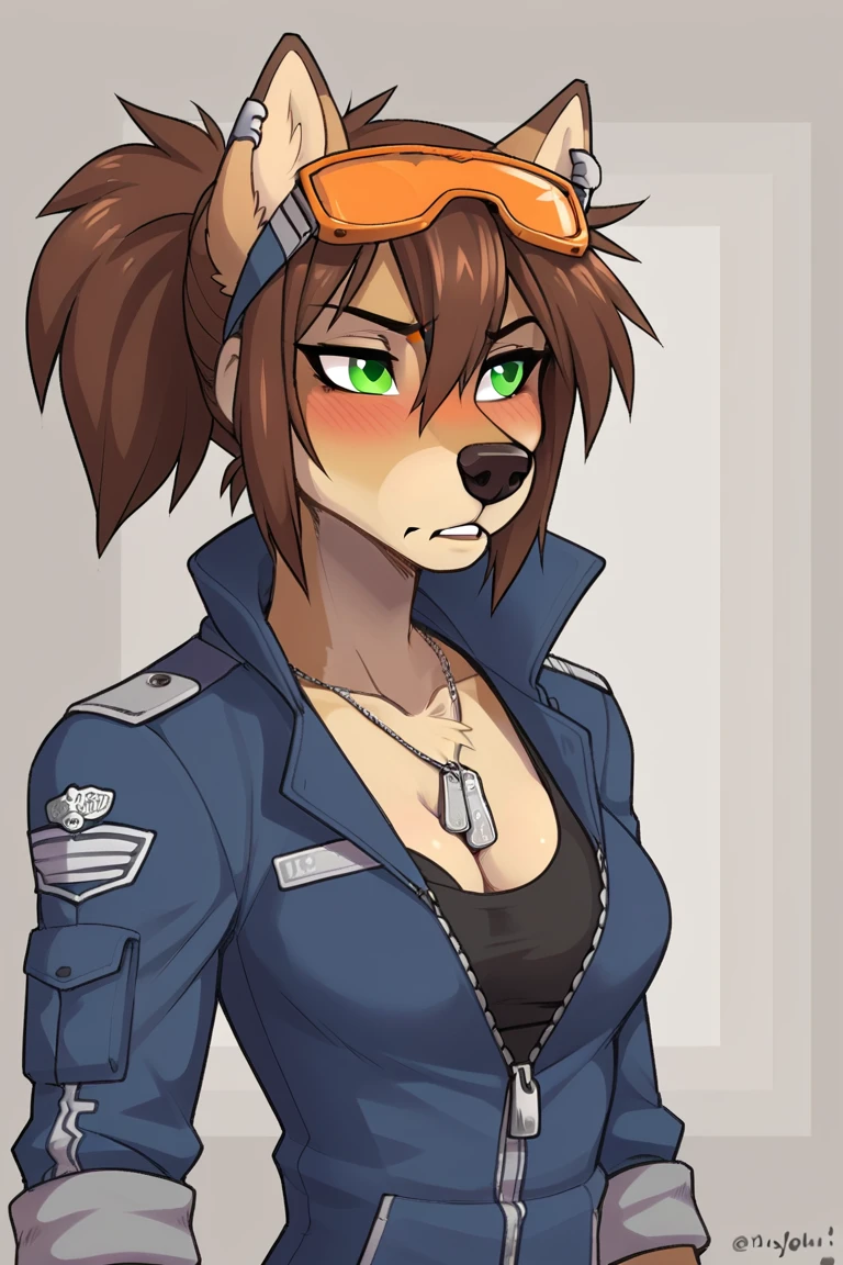 score_9, score_8_up, 
source_furry,
<lora:Wendy_Wolfy-Nail:0.8>  w3ndywn, 1girl, female wolf, hair between eyes,  spiked hair, green eyes, orange (goggles), animal ears, wolf ears, fingerless gloves, brown hair, blush, black nose, ponytail,
blue jacket outfit,
blush, lust, alluring,
skinny,
medium breast,
cleavage, sport bra, fitness bra,
military dog tags,