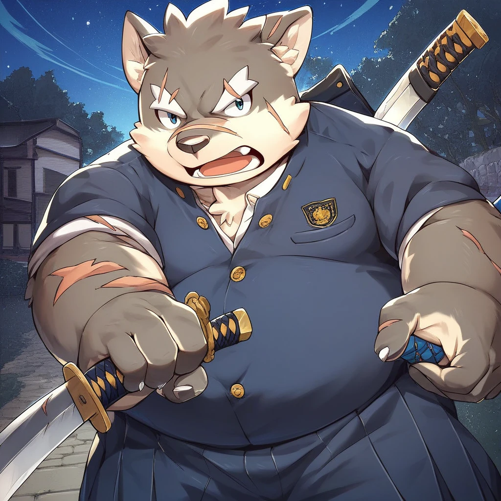 score_9, score_8_up, score_7_up, score_6_up, score_5_up, score_4_up, moritaka, anthro, dog, chubby, fat, grey and beige fur, scars, school uniform, action pose, holding katana, holding sword, night scenery, school background, looking at viewer, serious face,