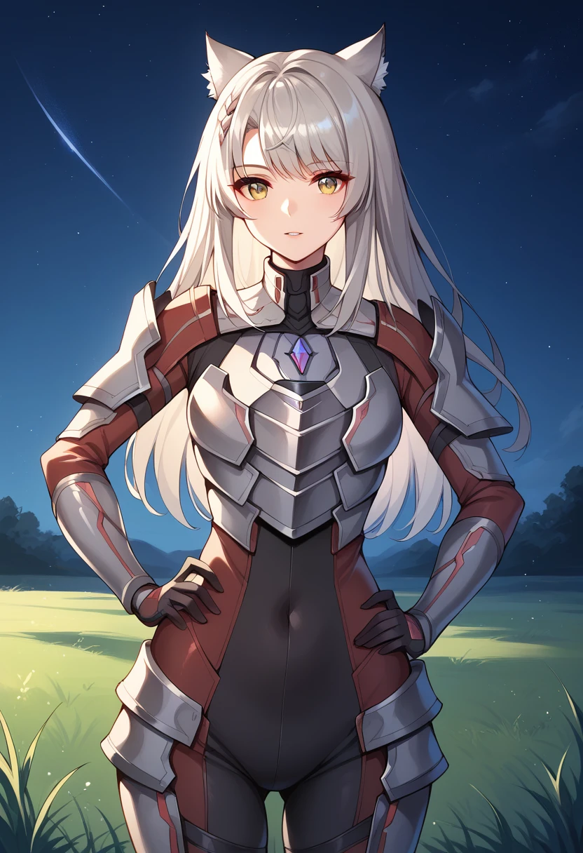 score_9, score_8_up, score_7_up, score_6_up, source_anime, BREAK, <lora:MioXenoblade3:1>, MioConsul, grey hair, long hair, chest jewel, cat ears,  armor, bodysuit, grass, night, sky, looking at viewer, parted lips, hand on own hip,