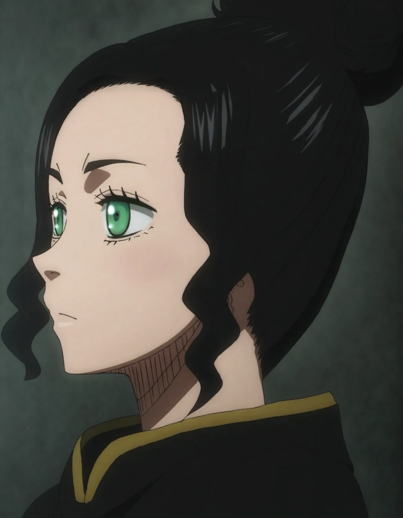 <lora:Charmy_Black_Clover:1>, charmy, black hair, green eyes, single hair bun, face, side view