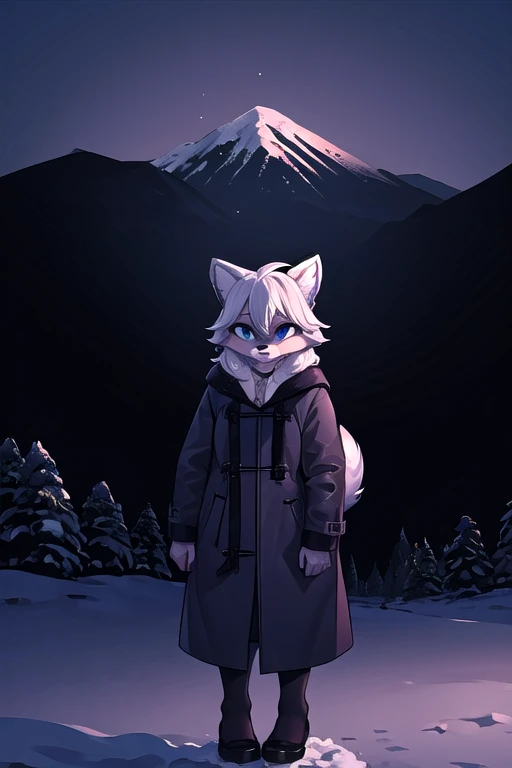 (masterpiece), daigaijindigitalStyle, anthro, wolf, mountain, snow, winter, serene, solo, fur, grey fur, white fur, clothed, coat, looking at viewer, hi res