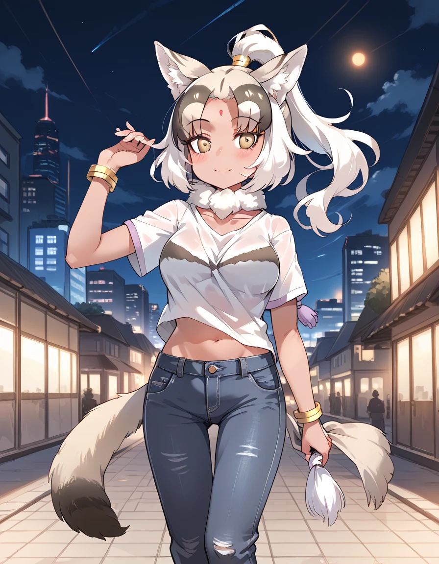 Indian Wolf (Kemono Friends) / インドオオカミ (けものフレンズ) [PonyXL＆IL-XL] v1.0 (PonyXL)