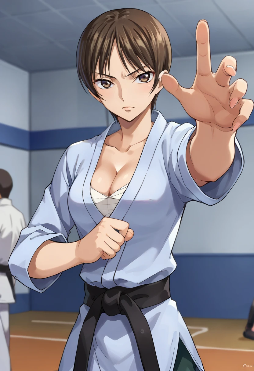 score_9,score_8_up,score_7_up BREAK source_anime,anime,<lora:Nagisa_Chiba_Code_Geass:0.8>,nchiba,1girl,solo,short hair,brown hair,brown eyes,sarashi,cleavage,serious,reaching,spread fingers,fighting stance,indoors,gym,looking at viewer,<lora:karate_pony_V1.0:0.8>,karate,dougi,belt,