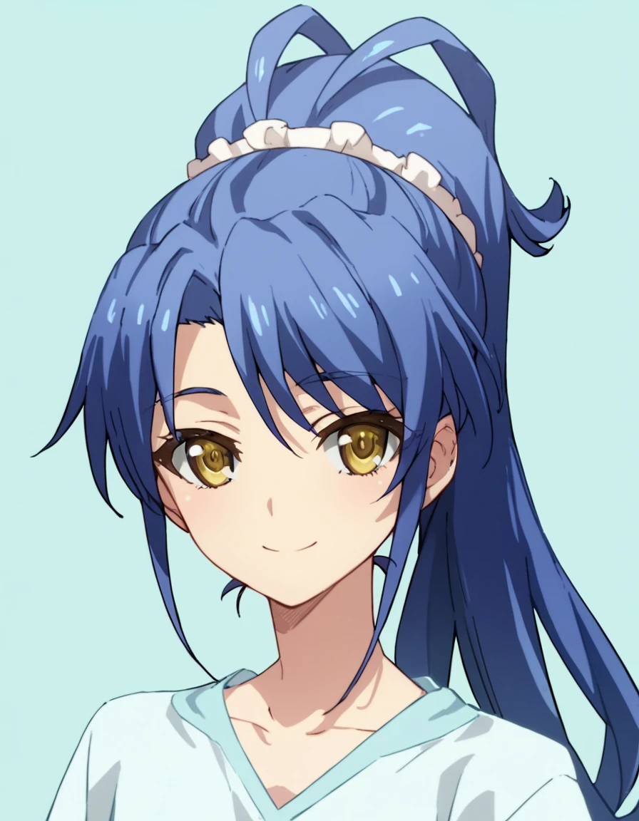 score_9, score_8_up, score_7_up, score_6_up, score_5_up, score_4_up, source_anime,  Kurumi, long hair, blue hair, yellow eyes, ponytail, , portrait, soft smile