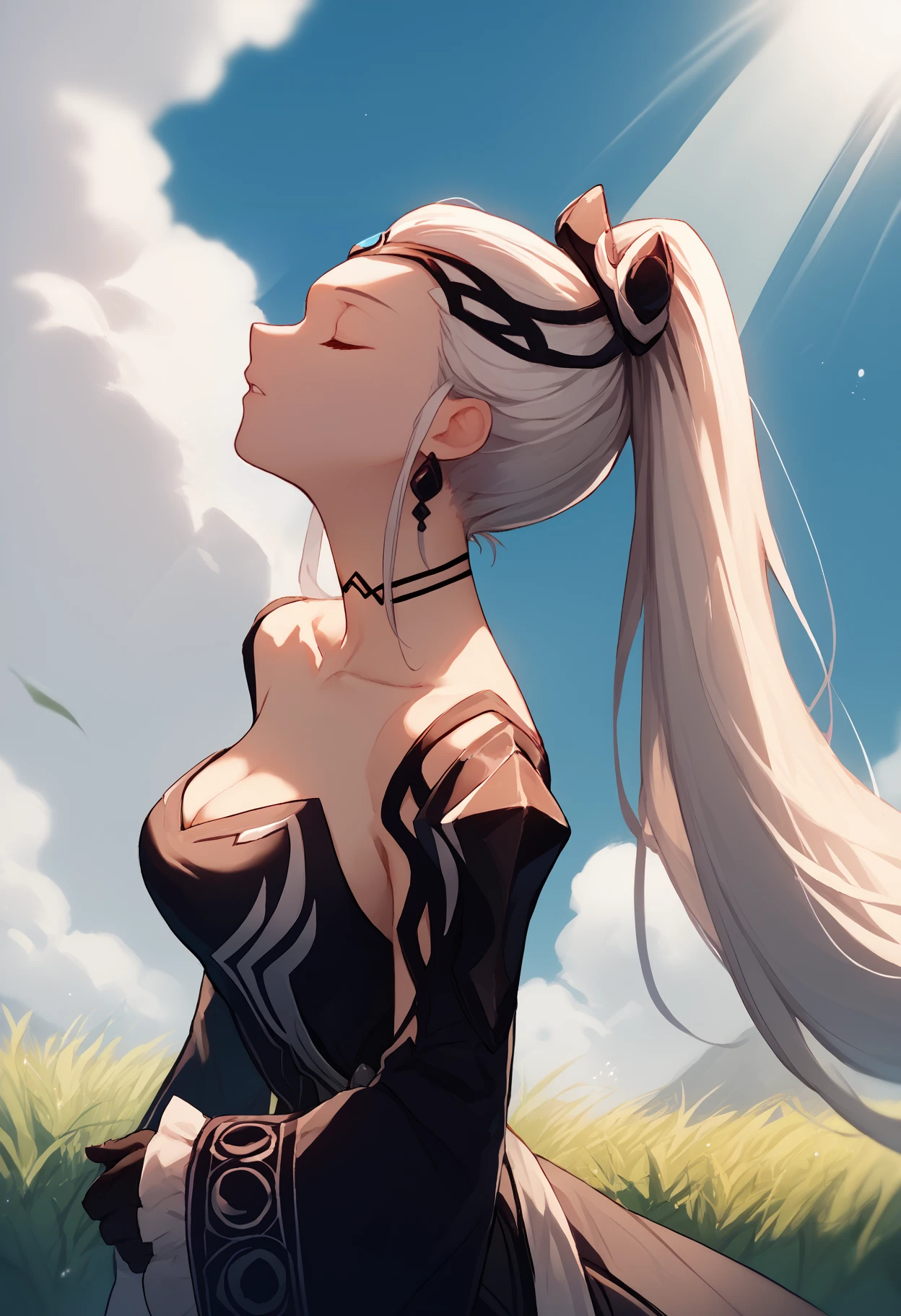 score_9, score_8_up, score_7_up, score_6_up, source_anime, from side, profile, solo, 1girl, feheir, parted lips, looking up, standing, ponytail, hair ornament, tiara, closed eyes, black dress, detached sleeves, wide sleeves, black gloves, earrings, choker, bare shoulders, collarbone, cleavage, blue sky, cloud, outdoors, light rays, grass <segment:yolo-face_yolov8m.pt,0.4,0.5>