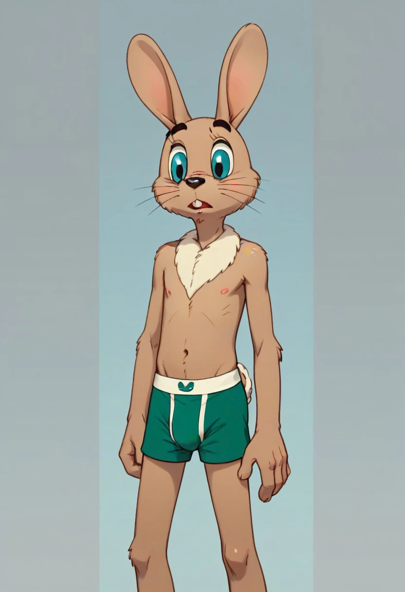 Zayats from Nu pogodi ZayatsV1