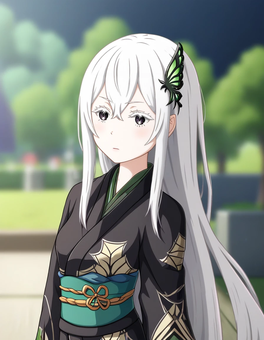 <lora:Echidna ReZero:1>, echidna rezero, green butterfly hair ornament, 1girl, detailed black kimono, japanese clothes, blurry background, white hair