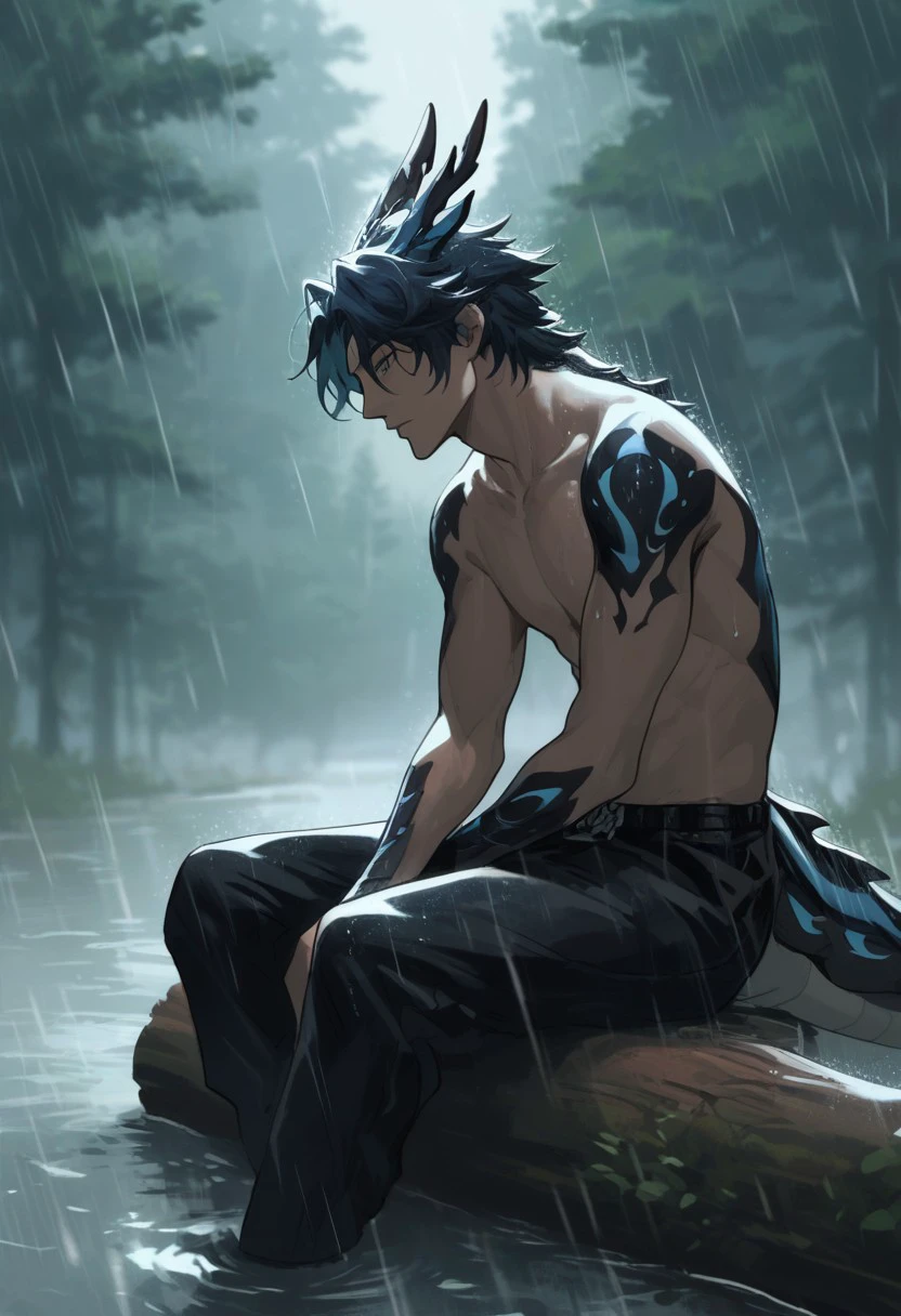 score_9, score_8_up, score_7_up, source_anime, rating_safe, raining, DragonologiaFT, 1boy, male focus, black-blue Dragonologia body carapace, topless, sitting, log, blurry outdoor forest, gloomy, fog,