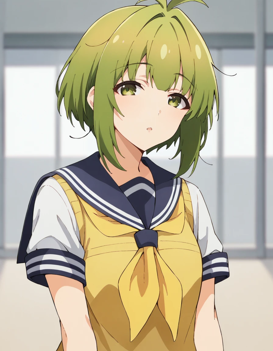 score_9, score_8_up, score_7_up, source_anime, BREAK
1girl, solo, looking at viewer, blurry background, front view,
meme bashame, green hair, antenna hair, short hair, sidelocks, green eyes,
school uniform summer, serafuku, blue sailor collar, short sleeves, white sleeves, yellow vest, yellow neckerchief,
<lora:meme_bashame_anime-soralz:0.9>