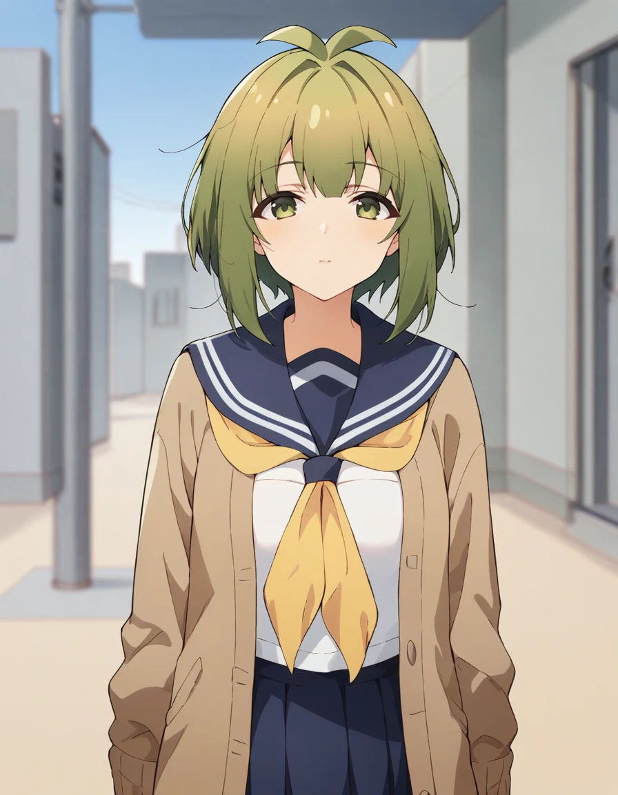 score_9, score_8_up, score_7_up, source_anime, BREAK
1girl, solo, looking at viewer, blurry background, front view, standing, cowboy shot, blue sky,
meme bashame, green hair, antenna hair, short hair, sidelocks, green eyes,
school uniform, blue sailor collar, brown cardigan, open cardigan, long sleeves, yellow neckerchief, white shirt, blue pleated skirt,
<lora:meme_bashame_anime-soralz:0.9>