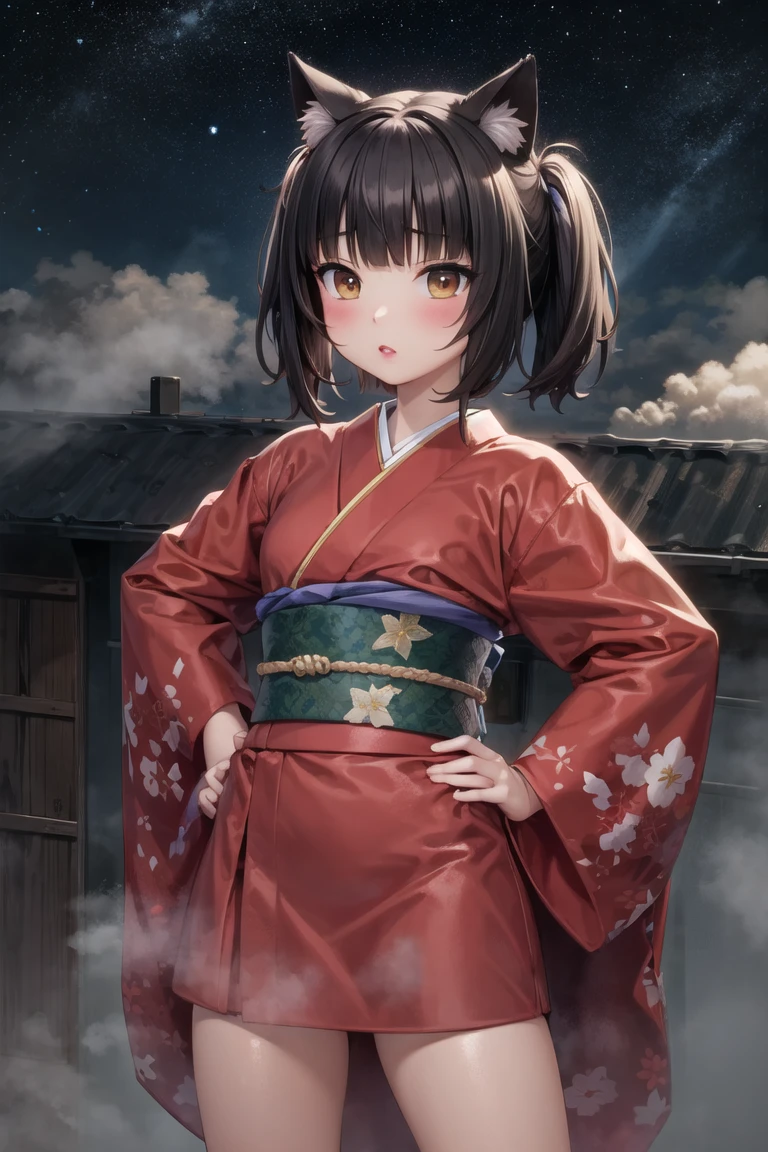 (masterpiece, best quality:1.2), 1girl, solo, cowboy shot,
on top of a building, at night, (heavy fog:1.3) and bright stars,
wearing a short kimono,  hands on hips, 
lipstick, eyeshadow, (short hair:1.1), (short twintails:1.1), (oily skin:1.1),  cat ears, blunt bangs,
<lora:nekoworks_sayori-10:0.8:lbw=ALL>