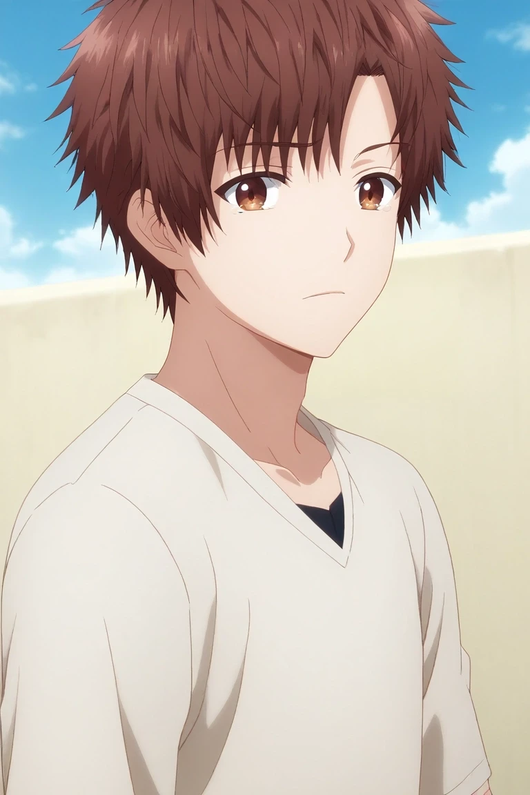 score_9, score_8_up, score_7_up, , rating_safe, , (realistic:0.6), looking at viewer, depth of field, 1boy, solo, male focus, <lora:itsuki_akazawa_pony:0.94>, itsuki_akazawa, brown hair, brown eyes, short hair, bangs, close-up, atlantis, day, clouds, knees together feet apart, tearing up, , <lora:sdxl_lightning_8step_lora:1>