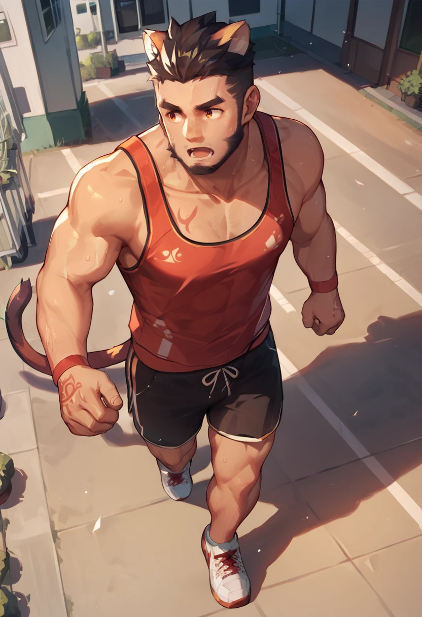 Alcander,score_9, score_8_up, score_7_up, male, beard, animal ears, tail, <lora:Alcander:1>, running outside, sweating, tank top, sports shorts, sneakers, high angle view, open mouth,