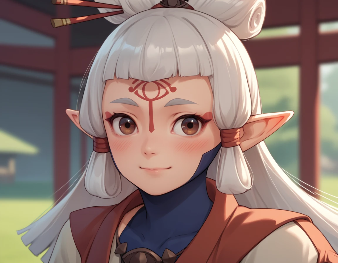 <lora:Paya (Zelda):1>, paya (zelda), sheikah, 1girl, face, blush, depth of field, eye half closed, closed mouth, smile, score_9, score_8_up, score_7_up, source_anime,