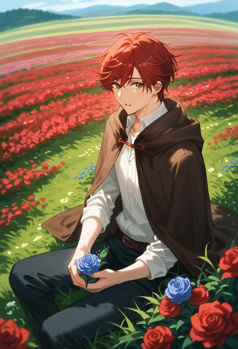 score_9, score_8_up, score_7_up, source_anime, rating_safe, holding blue flower, MikoshibaGSN, (red Mikoshiba hair), red Mikoshiba eyes, 1boy, male focus, brown cloak, rose wanderer, parted lips, sitting, indian style, hands with five fingers, blurry outdoor flower field, fantasy, from above, dutch angle, realistic shading