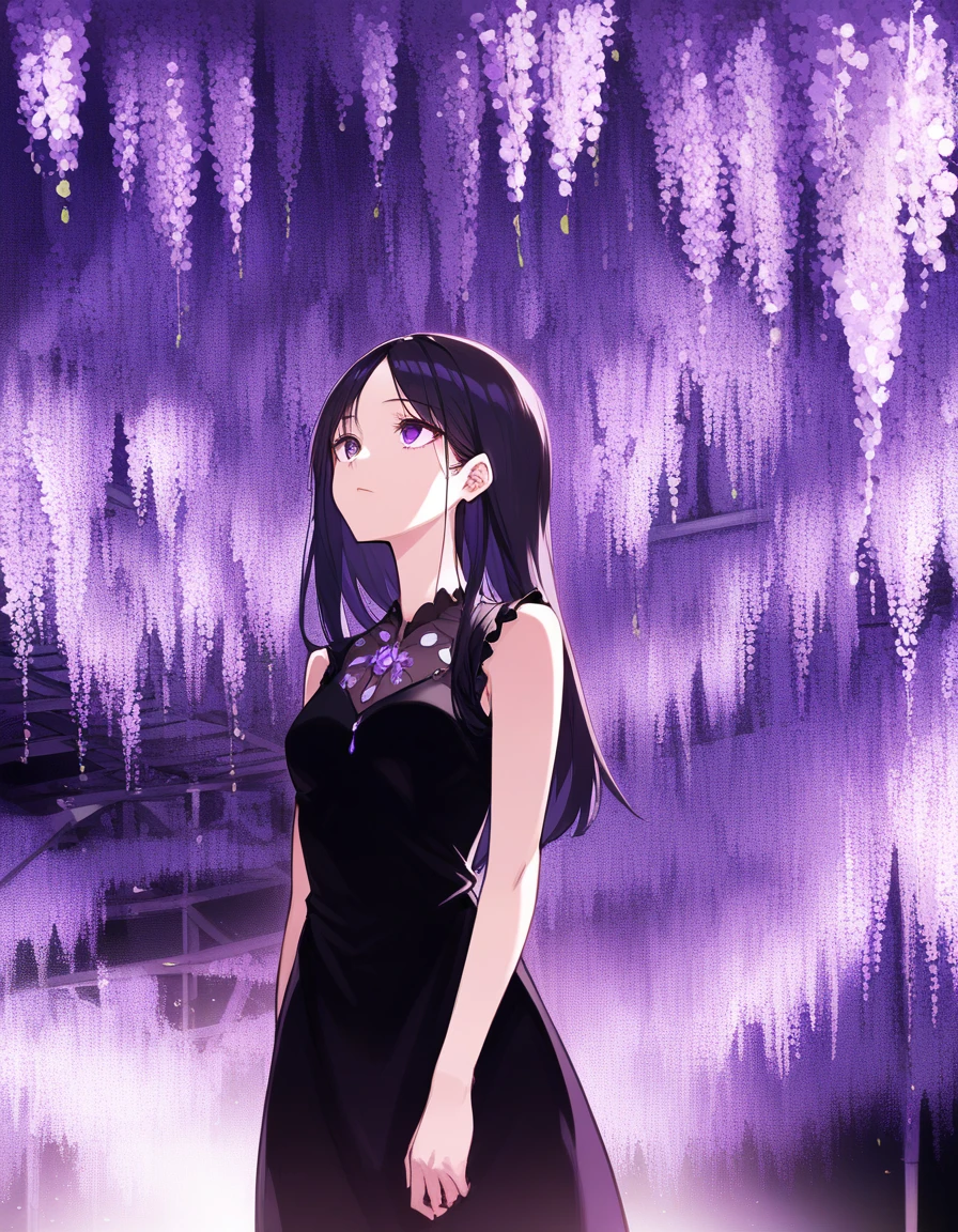 score_9, score_8_up, score_7_up, souce_anime, BREAK masterpiece, best quality, very aesthetic, absurdres, 1girl, girl standing and looking up, cowboy shot, black dress, silk dress, long black hair, sleeveless, perfect eyes, <lora:ashikaga_flower_park_ponyDiffusionV6XL_v6_Lion_3000_v1.02:1>, purple fuji flower, illuminated,