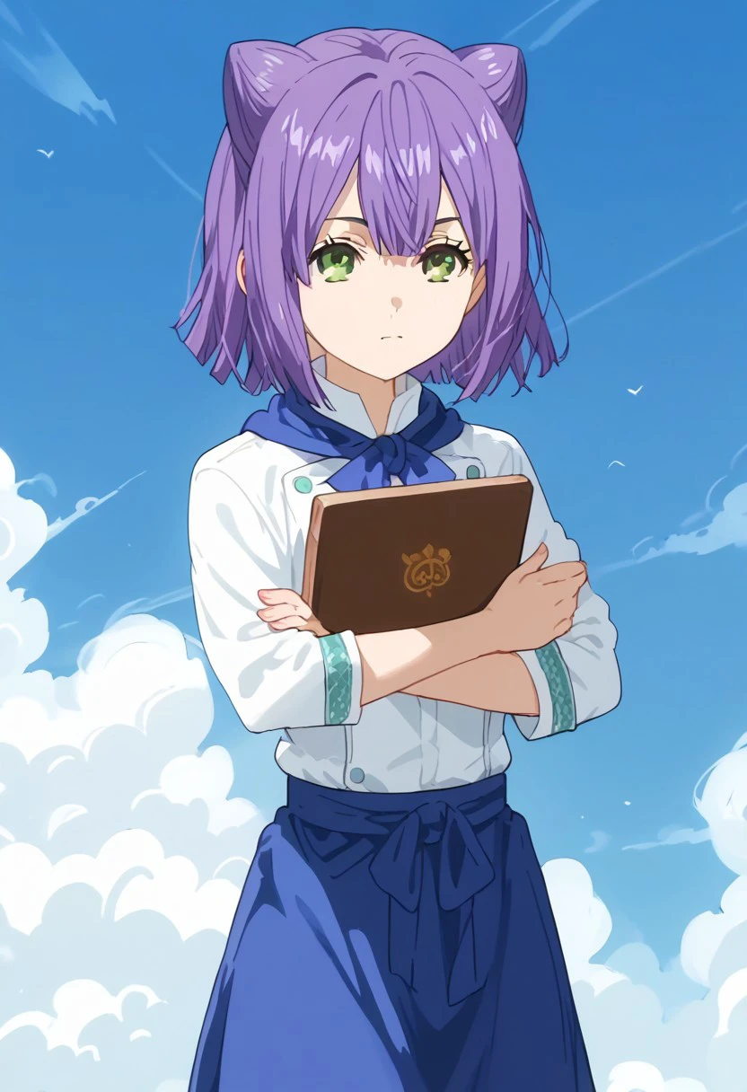 score_9, score_8_up, score_7_up, source_anime, rating_safe, MomoSNS, green Momo eyes, purple Momo hair, 1girl, female focus, anime screencap, white Momo shirt, blue Momo neckerchief, blue Momo waist apron,