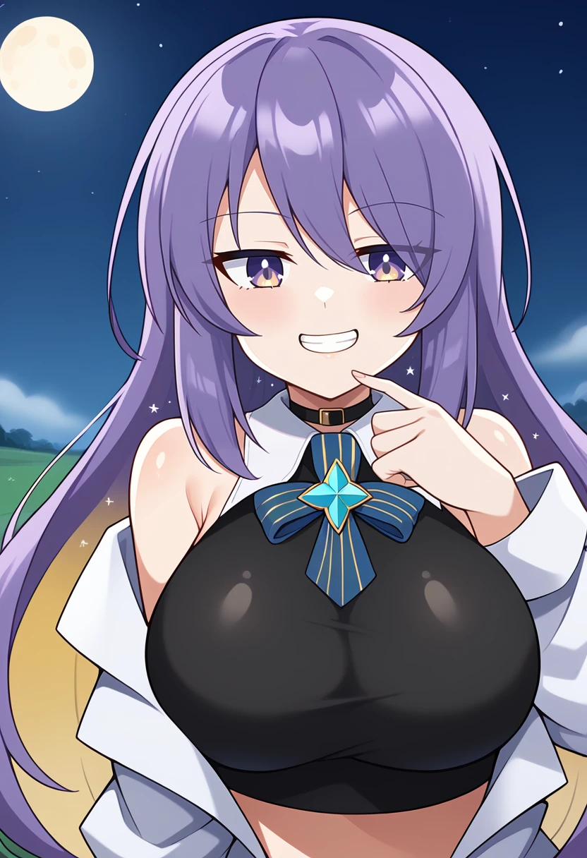 1girl, moona hoshinova, moona hoshinova \(1st costume\), hololive indonesia,
long hair, purple hair, multicolored hair, purple eyes, large breasts, grin, hand on own chin, crop top, black shirt, white jacket,
field, night, moon, fog, upper body,
score_9, score_8_up, score_7_up,
<lora:moona-pony:1>