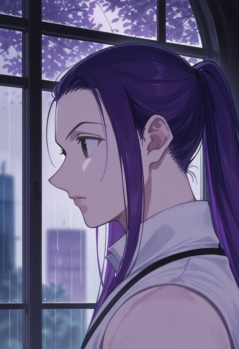 score_9, score_8_up, score_7_up, source_anime, rating_safe, IllumiHXH, black Illumi eyes, black ponytail , 1boy, male focus, casual clothes, serious, looking at another, close-up, from side, blurry indoor stained glass window, raining-outdoors, solo focus, purple theme, realistic shading,