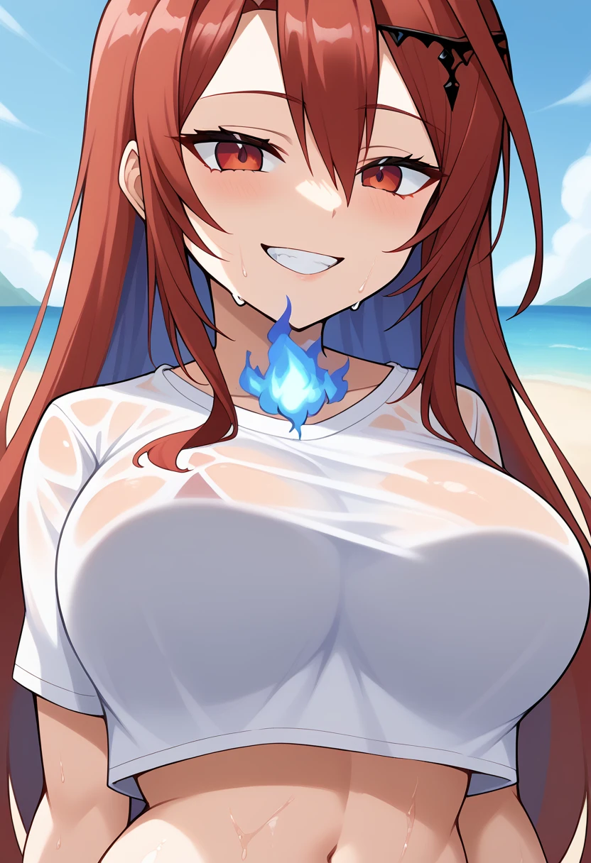 1girl, solo, elizabeth rose bloodflame, hololive english,
long hair, red hair, red eyes, multicolored hair, large breasts, t-shirt, crop top, blue fire, seductive smile, teeth, wet clothes, 
beach, upper body, blue sky, 
score_9, score_8_up, score_7_up,
<lora:erb-pony:1>