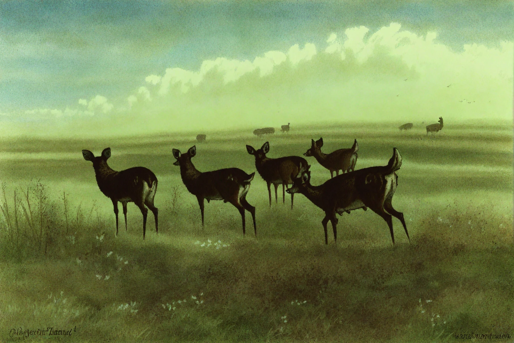 <lora:karl-bodmer_pony_v1:1> 'Deer in a Landscape' by Bodmer Karl in ,wildlife painting \(genre\),Romanticism \(style\),animals, deer, Wildlife, Grassland, Savanna, Herd, Ecoregion,, score_9, score_6_up, score_7_up