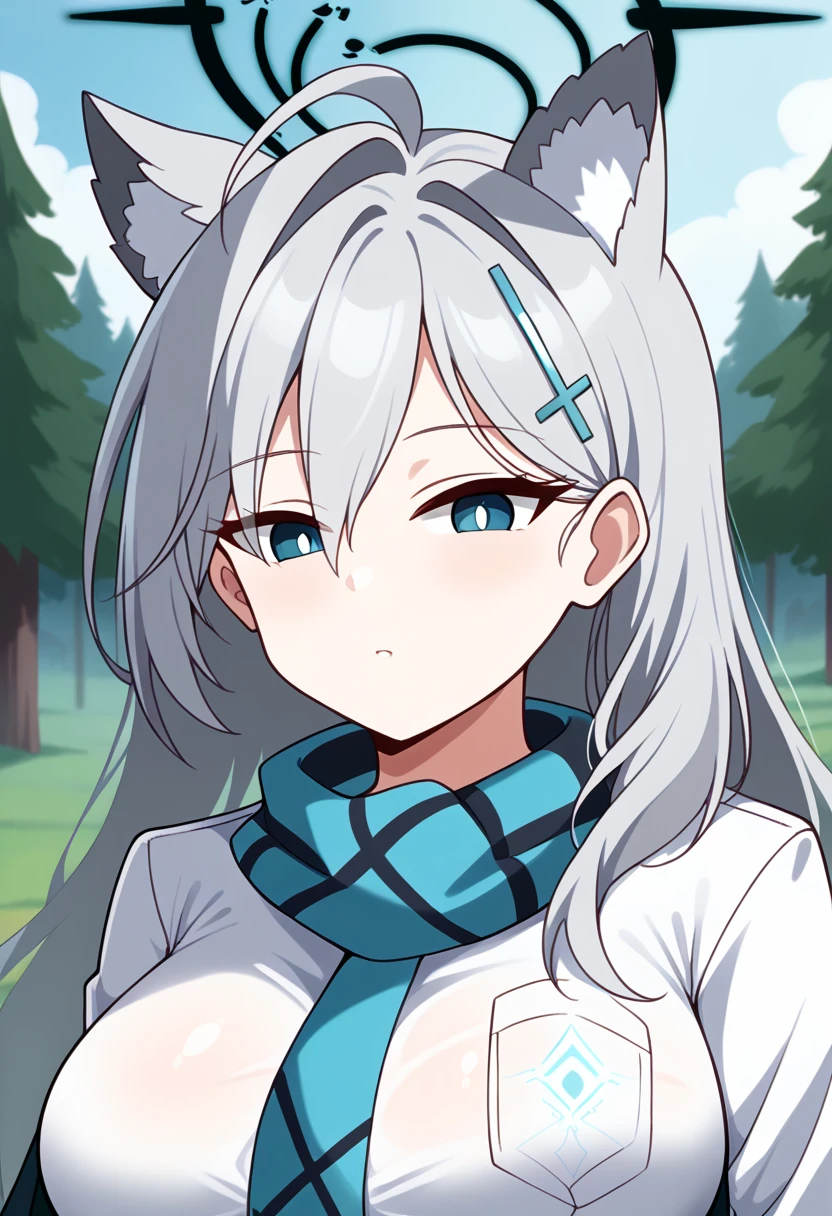 1girl, shiroko terror \(blue archive\), solo, blue archive, 
long hair, silver hair, blue eyes, large breasts, white shirt, collared shirt, scarf, necktie, halo, animal ears,
field, blue sky, forest, upper body, 
score_9, score_8_up, score_7_up,
<lora:shiroko-terror-pony:1>