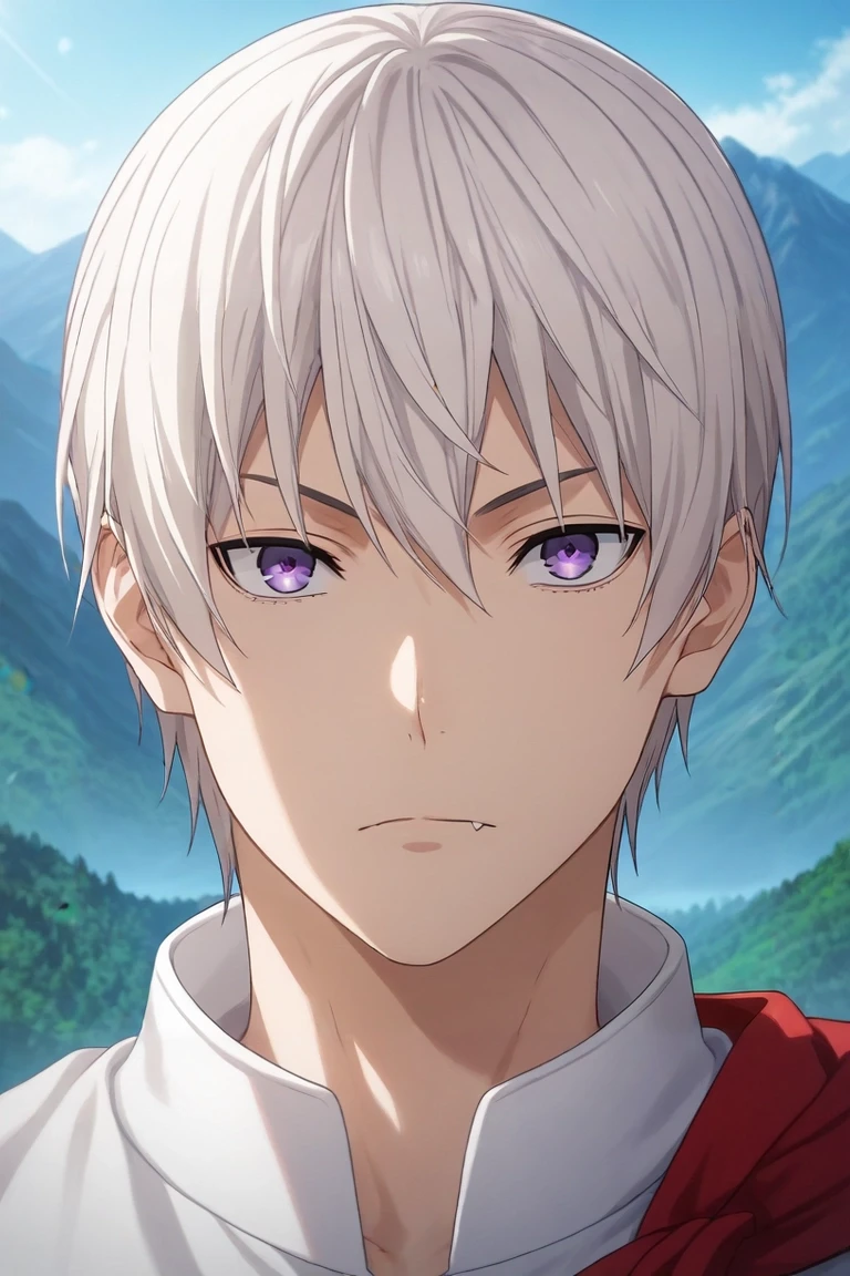 score_9, score_8_up, score_7_up, , rating_safe, , (realistic:0.6), looking at viewer, , 1boy, solo, male focus, <lora:eishi_tsukasa_pony:0.9>, eishi_tsukasa, white hair, purple eyes, short hair, hair between eyes, asymmetrical, mountain, day, sunny, dynamic pose, skin fang, , <lora:sdxl_lightning_8step_lora:1>